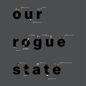 Our Rogue State. Photo: artist’s archive.
